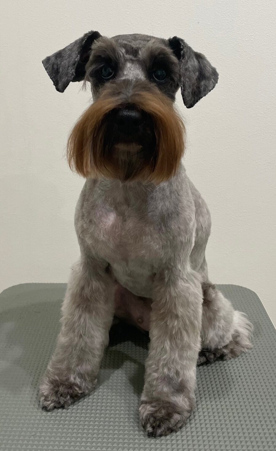 2026-3-10%e8%97%a4%e7%94%b0%e3%82%af%e3%83%ad%e3%82%a8