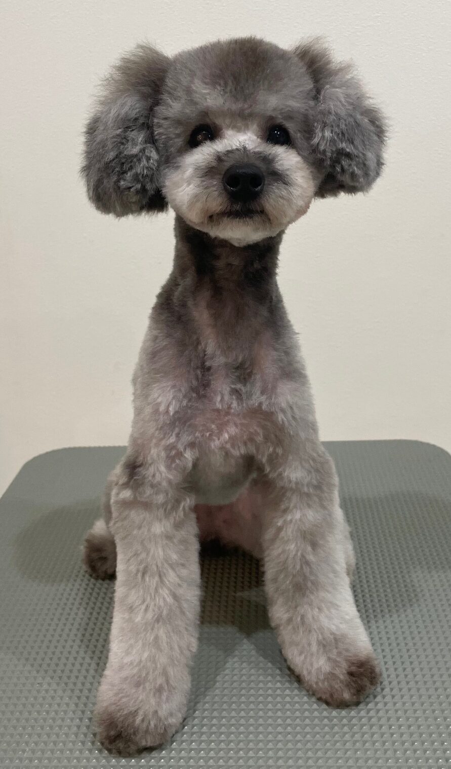 2026-3-10%e8%97%a4%e7%94%b0%e3%82%af%e3%83%ad%e3%83%a0