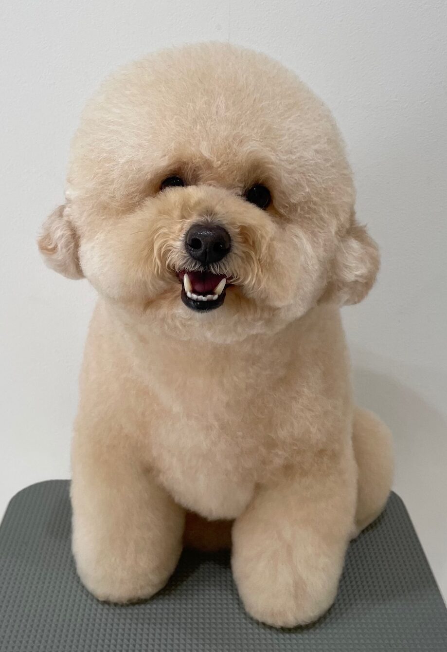 2026-3-11%e5%b0%8f%e6%9e%97%e3%83%ad%e3%83%a0