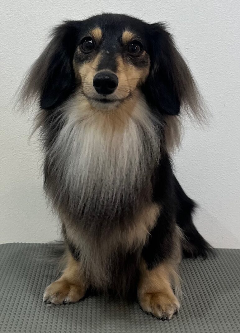 2026-3-11%e5%b0%8f%e6%ab%83%e3%83%ab%e3%83%ab