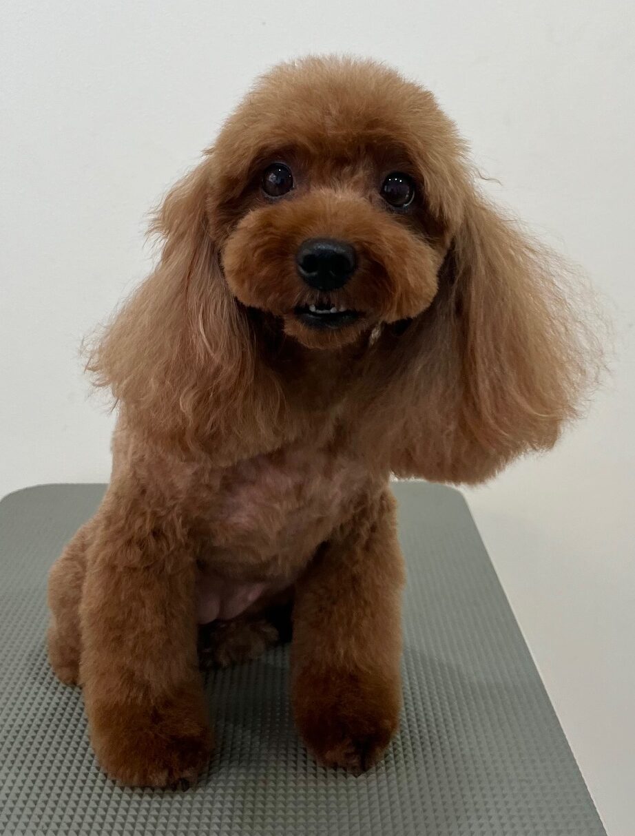 2026-3-11%e5%b9%b3%e7%94%b0kira