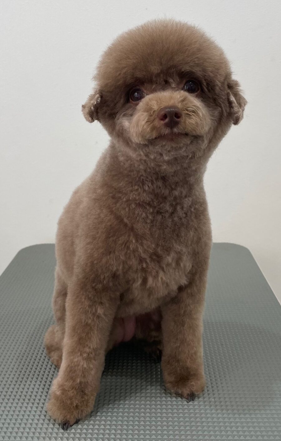 2026-3-11%e6%a8%8b%e5%8f%a3%e6%9d%be