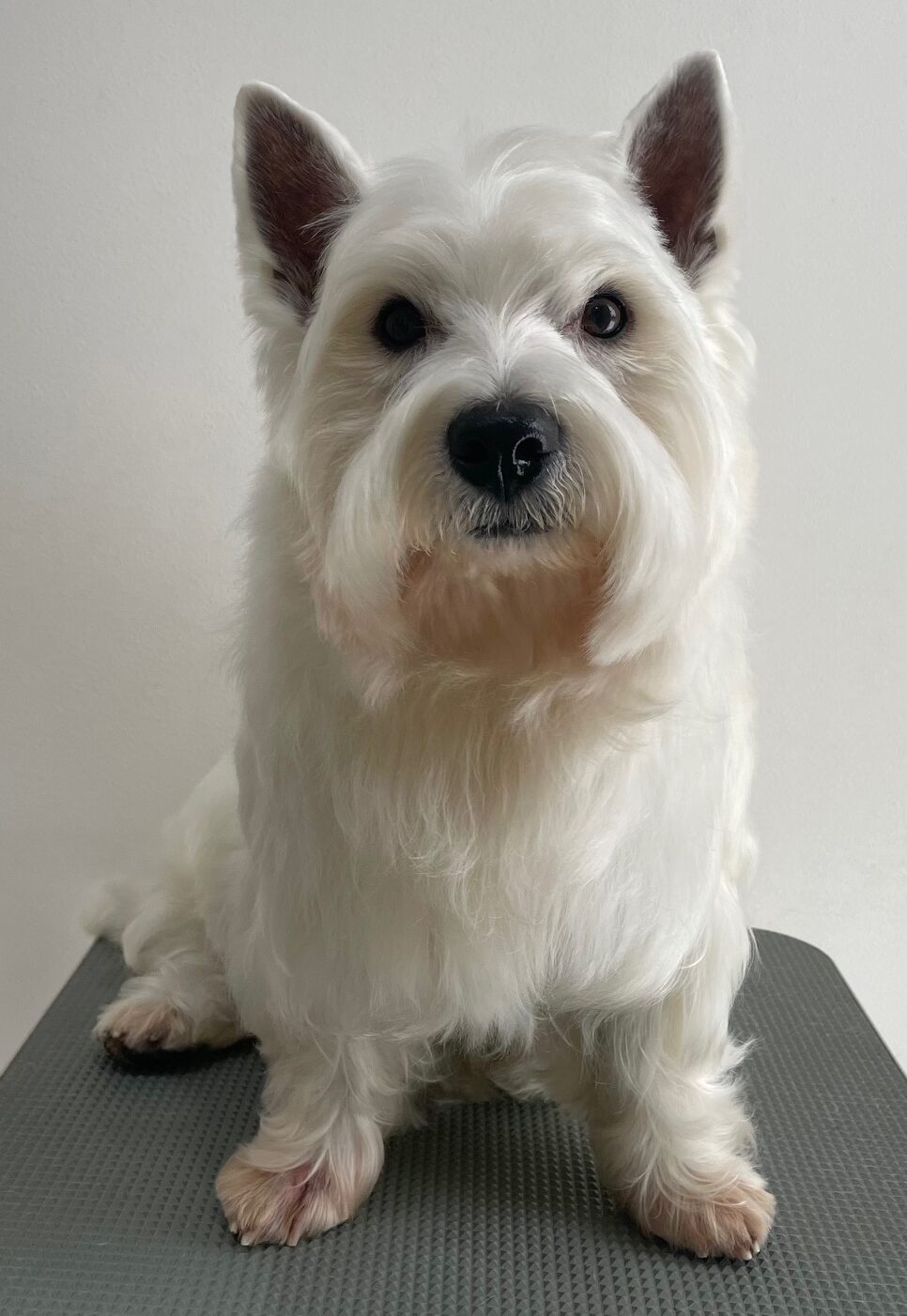 2026-3-11%e8%b6%b3%e7%ab%8b%e3%83%a2%e3%82%a2