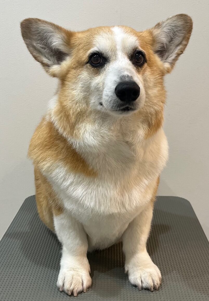 2026-3-13%e5%a5%a5%e6%b4%a5%e3%81%8f%e3%81%85