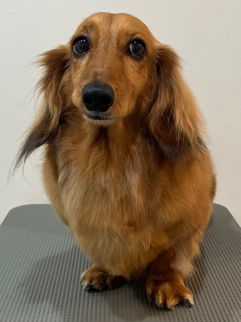 2026-3-13%e5%b0%8f%e6%9e%97%e3%83%ad%e3%83%b3