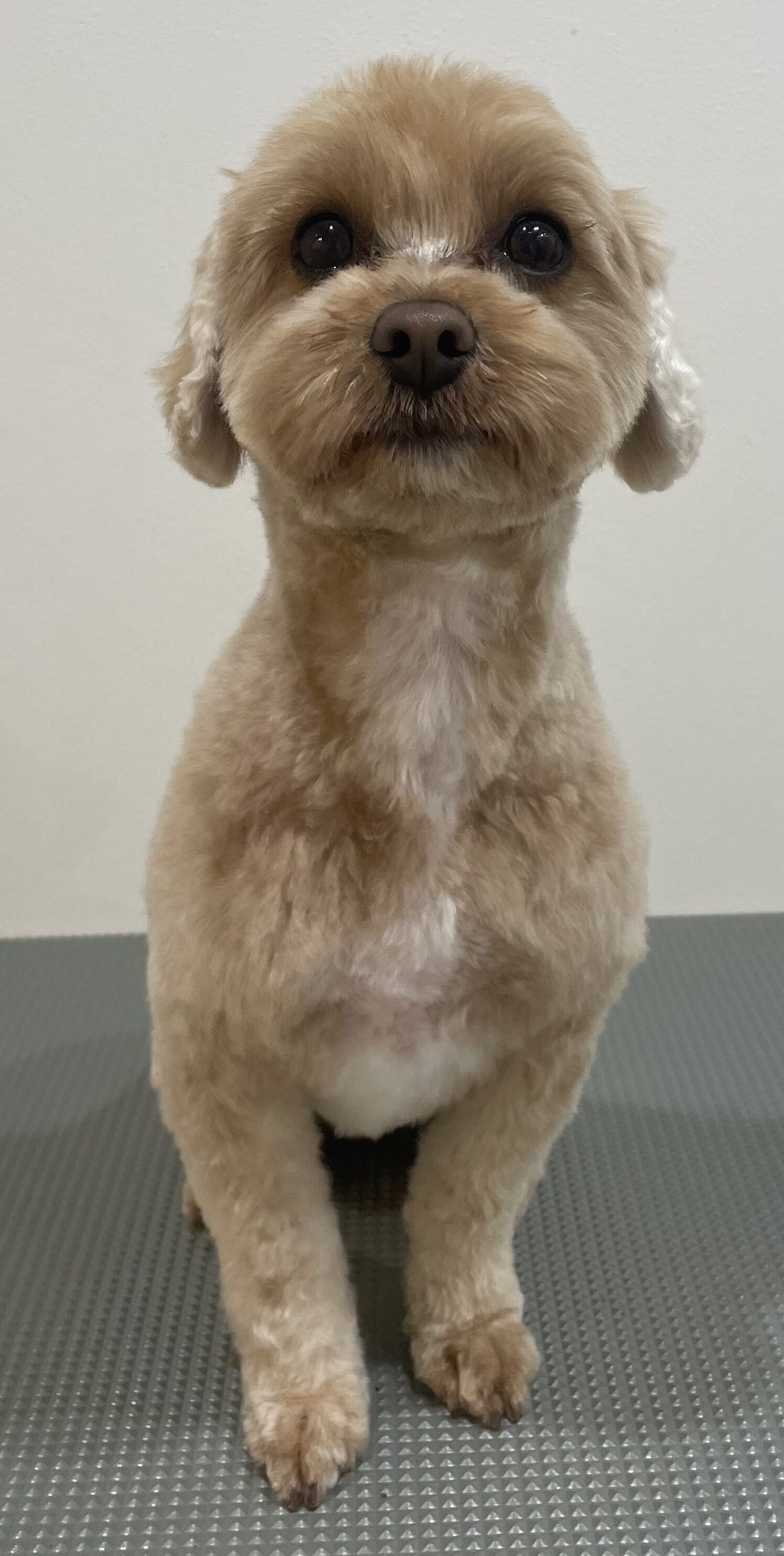 2026-3-13%e5%b9%b8%e7%9c%9f%e3%81%b7%e3%81%b7