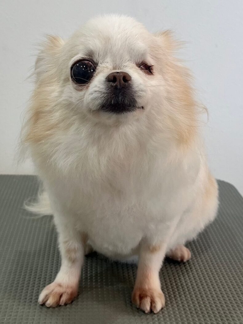 2026-3-13%e8%8f%85%e5%8e%9f%e3%83%81%e3%83%a3%e3%82%a4