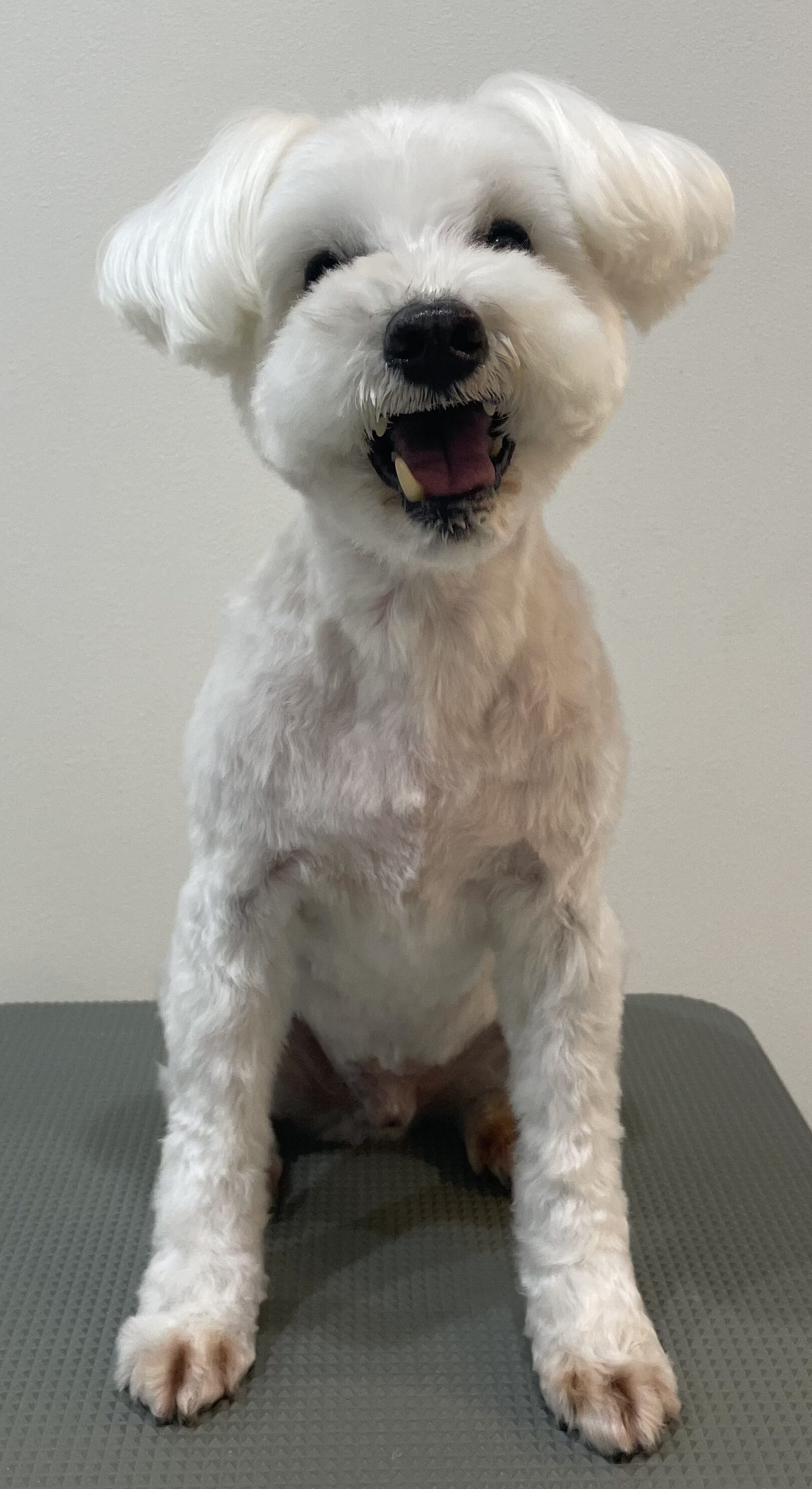 2026-3-13%e9%87%8e%e5%8e%9f%e3%83%86%e3%82%aa