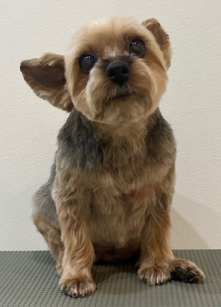 2026-3-13%e9%96%a2%e9%87%8e%e3%83%8e%e3%82%a2