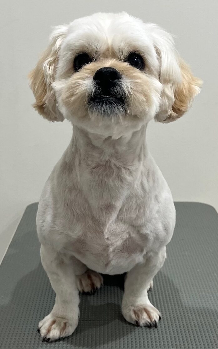 2026-3-15%e5%b0%8f%e9%96%a2%e6%9d%be%e7%ab%b9