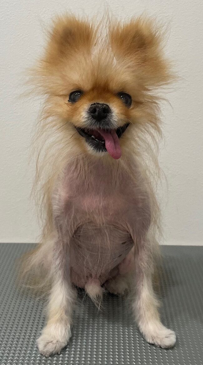 2026-3-15%e8%97%a4%e7%94%b0%e3%82%a4%e3%83%96