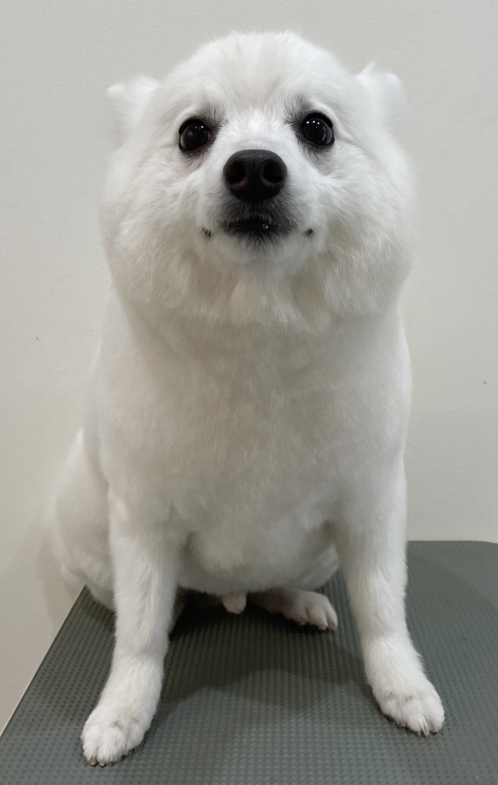 2026-3-15%e9%88%b4%e6%9c%a8%e3%83%99%e3%82%a4%e3%83%aa%e3%83%bc