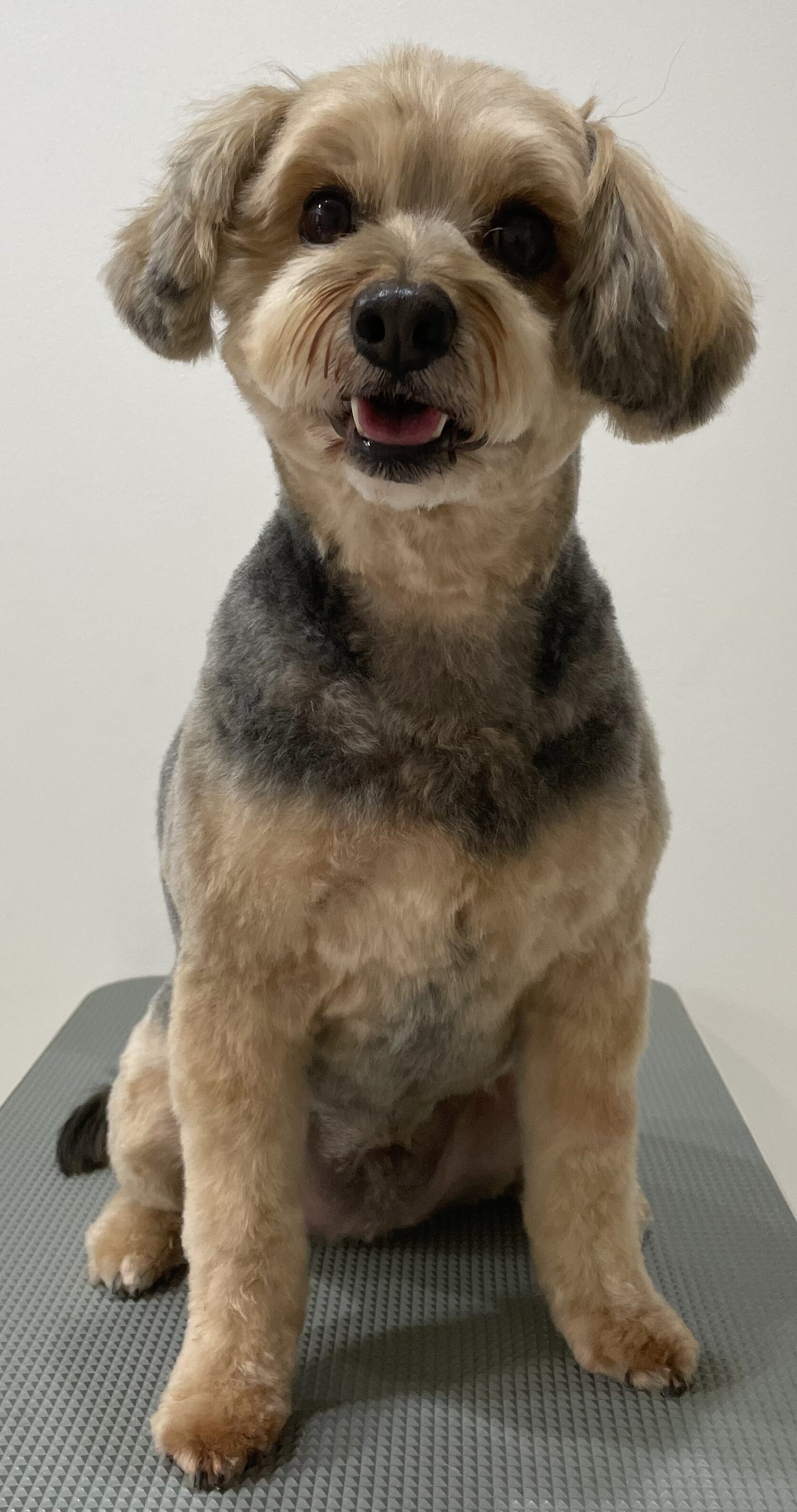 2026-3-15%e9%a3%af%e5%b3%b6%e3%82%a2%e3%83%ad%e3%83%8f