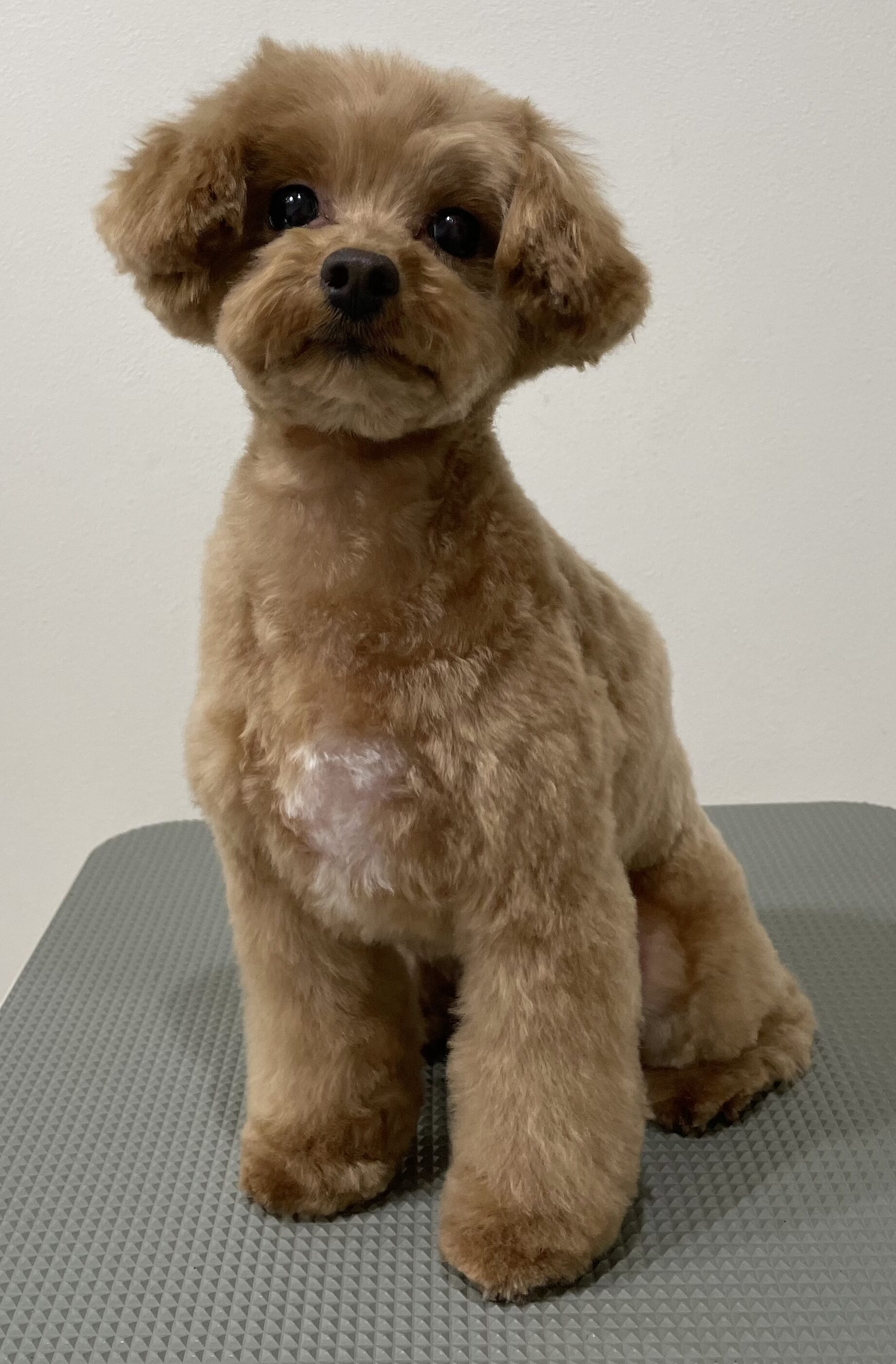 2026-3-16%e5%a4%aa%e7%94%b0%e9%9b%aa