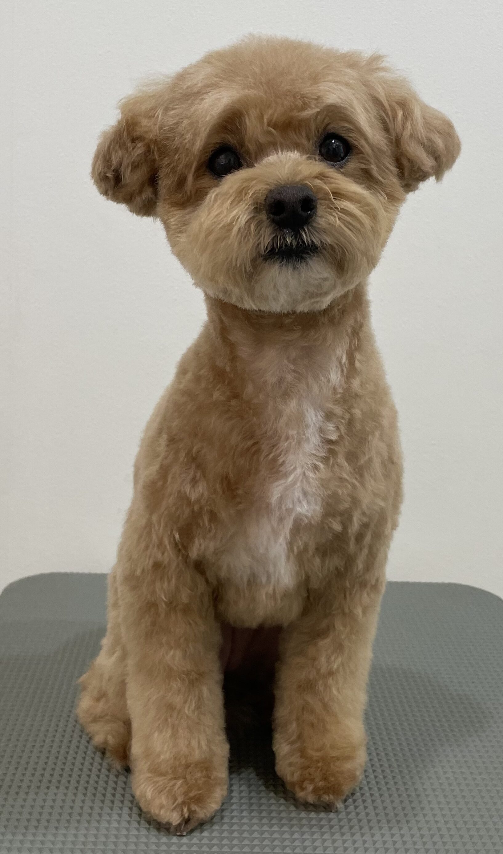 2026-3-16%e7%89%87%e5%b2%a1%e3%82%86%e3%81%9a