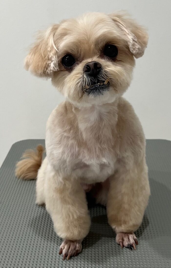 2026-3-16%e8%bf%91%e8%97%a4%e3%81%98%e3%82%93