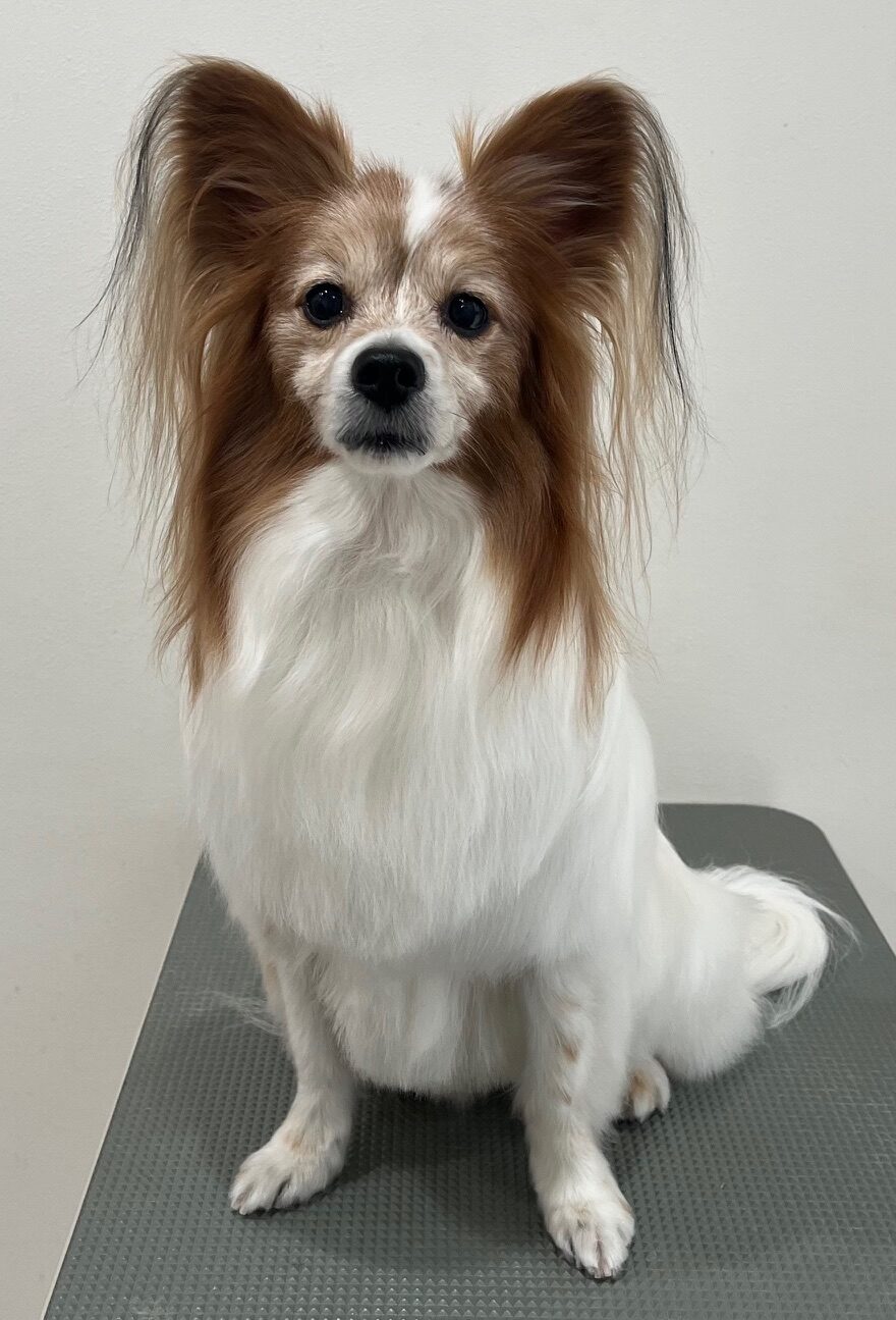 2026-3-17%e5%af%8c%e7%94%b0%e3%83%86%e3%82%aa