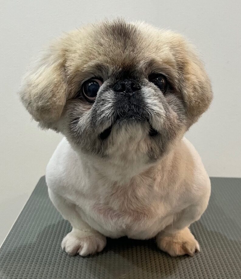 2026-3-17%e6%9d%91%e7%94%b0%e3%82%8a%e3%82%93%e3%81%94