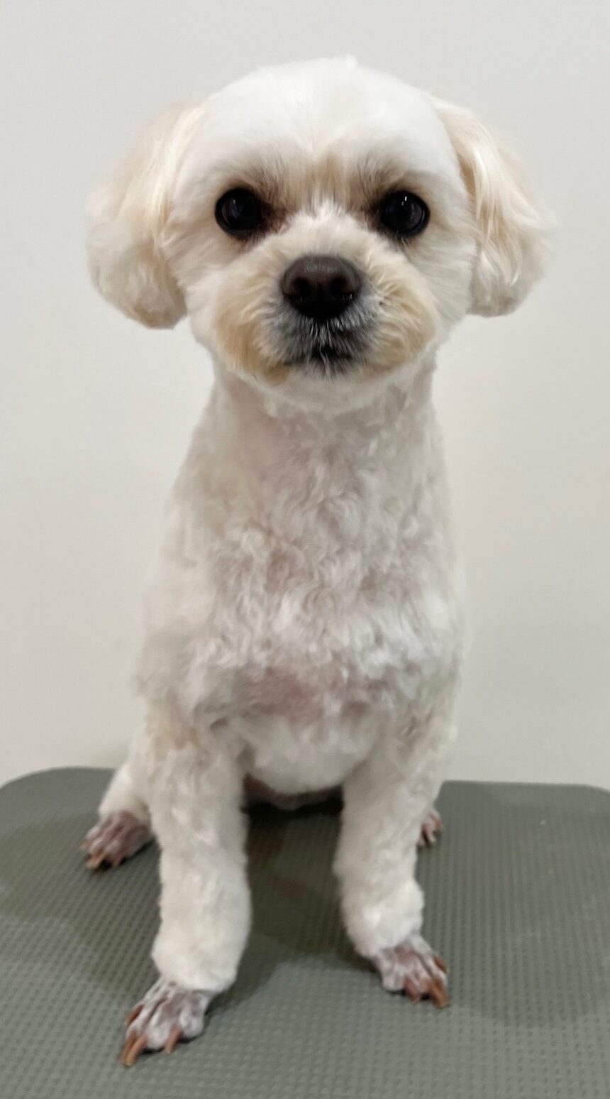 2026-3-17%e6%9d%be%e4%ba%95%e3%81%93%e3%82%8d