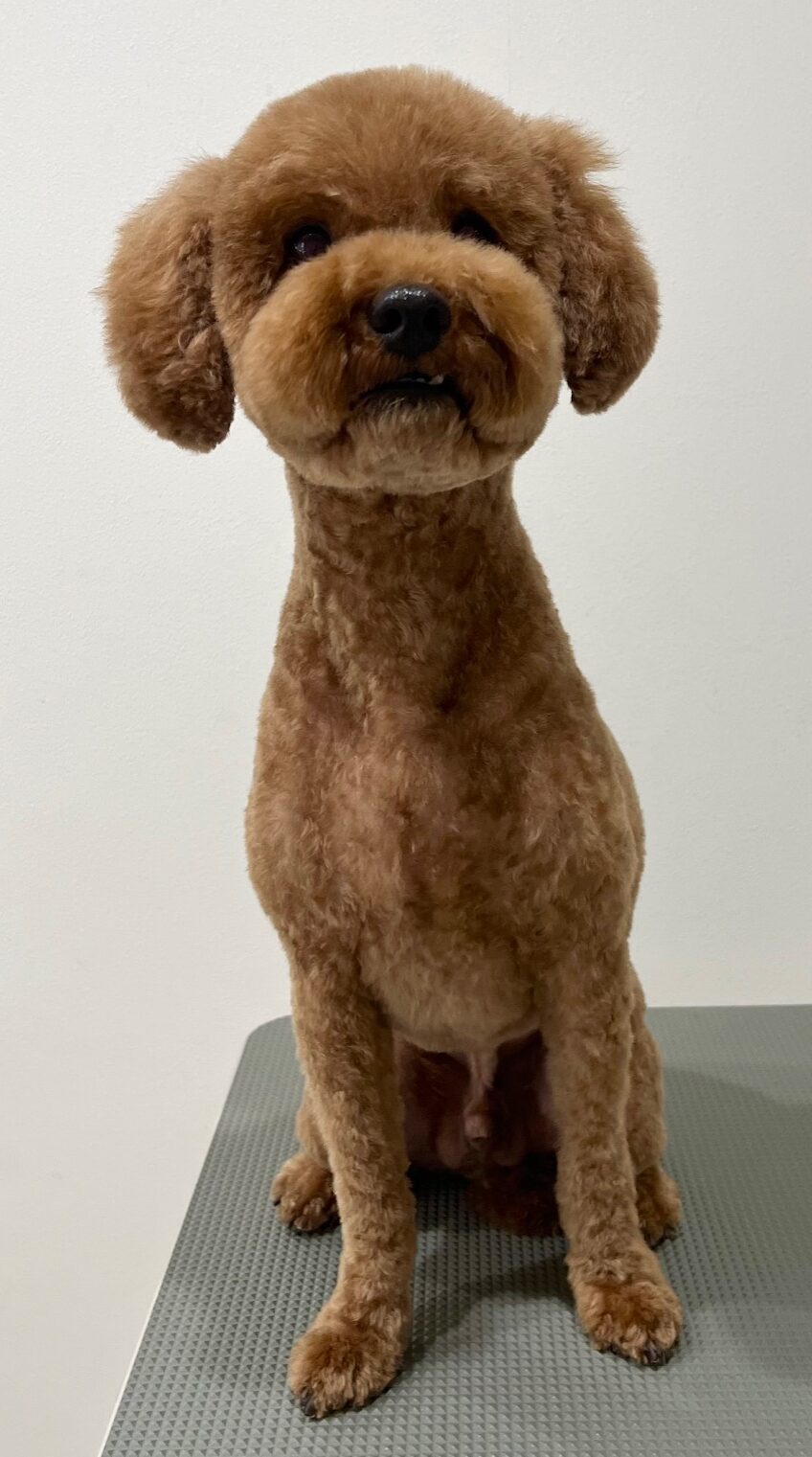 2026-3-17%e6%9d%be%e5%b4%8e%e3%83%81%e3%83%a7%e3%82%b3