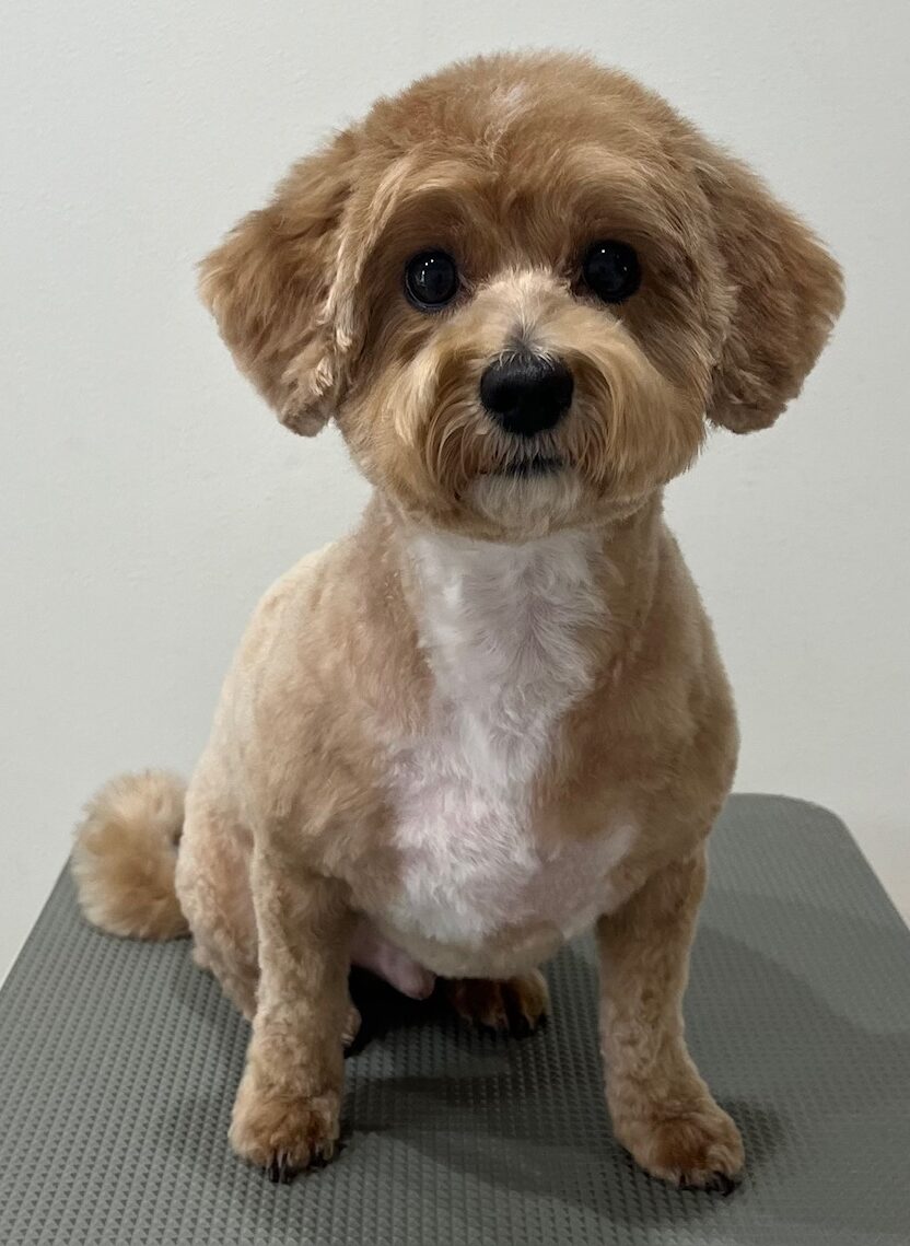 2026-3-17%e6%9d%be%e5%b4%8e%e3%83%a2%e3%83%8a%e3%82%ab