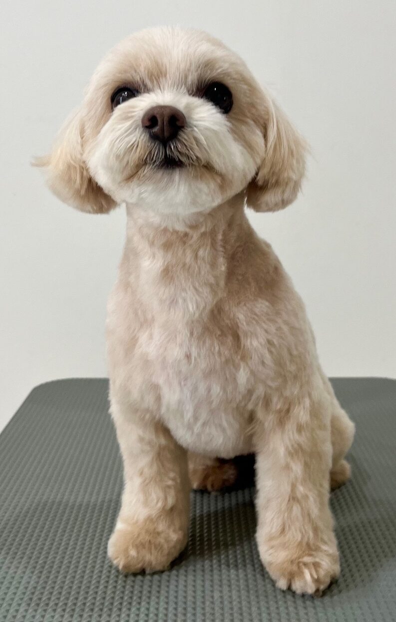 2026-3-18%e5%8a%a0%e8%97%a4%e3%83%9e%e3%83%ad%e3%83%b3