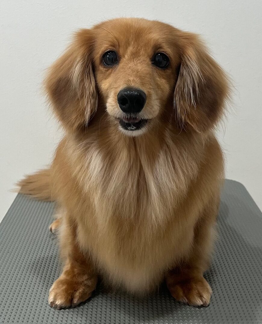 2026-3-18%e5%a4%a7%e6%b4%a5%e3%83%9a%e3%83%ad