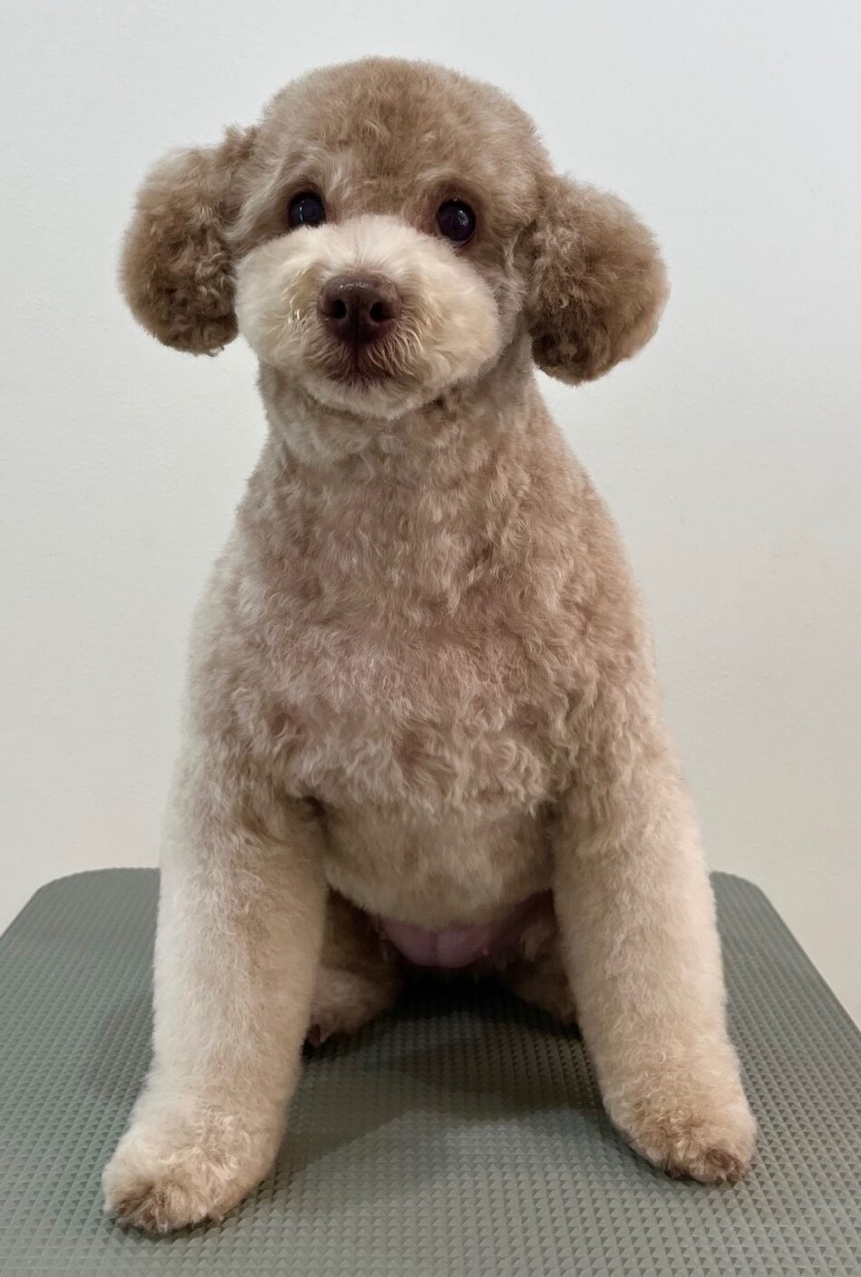 2026-3-18%e5%b2%a9%e5%b4%8e%e3%82%ab%e3%83%b3%e3%83%8a