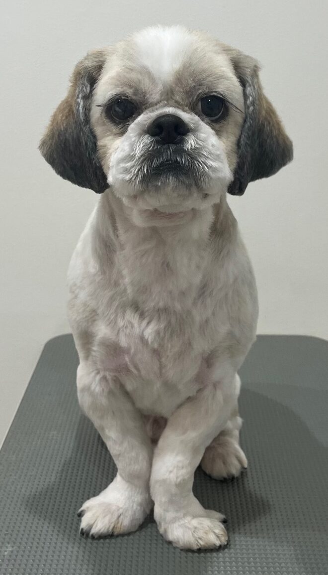 2026-3-18%e9%95%b7%e6%a9%8b%e3%81%9f%e3%82%8b%e3%81%a8