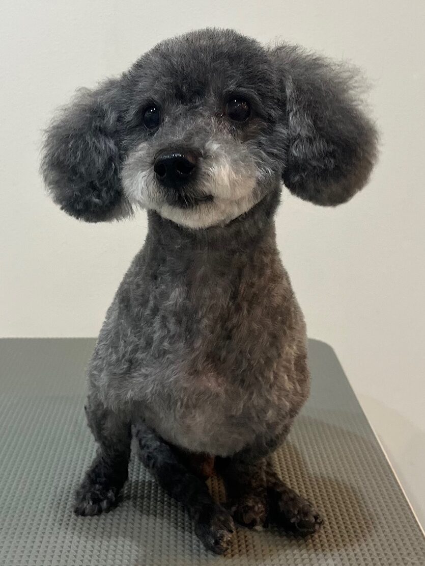 2026-3-1%e6%98%9f%e9%87%8e%e6%9f%9a