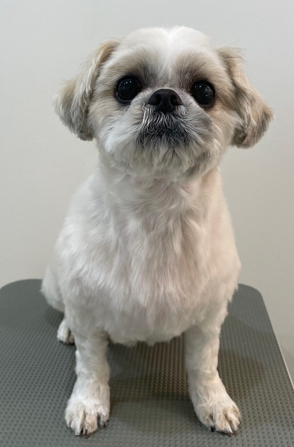 2026-3-1%e8%97%a4%e5%8e%9f%e3%81%8f%e3%82%8b%e3%81%bf