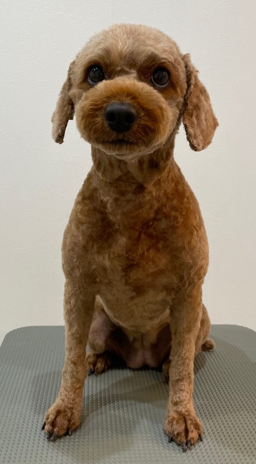 2026-3-1%e8%ab%b8%e6%98%9f%e5%b0%8f%e9%9b%aa