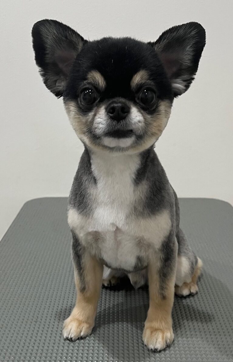 2026-3-22%e4%bd%90%e8%97%a4%e3%82%b1%e3%83%b3