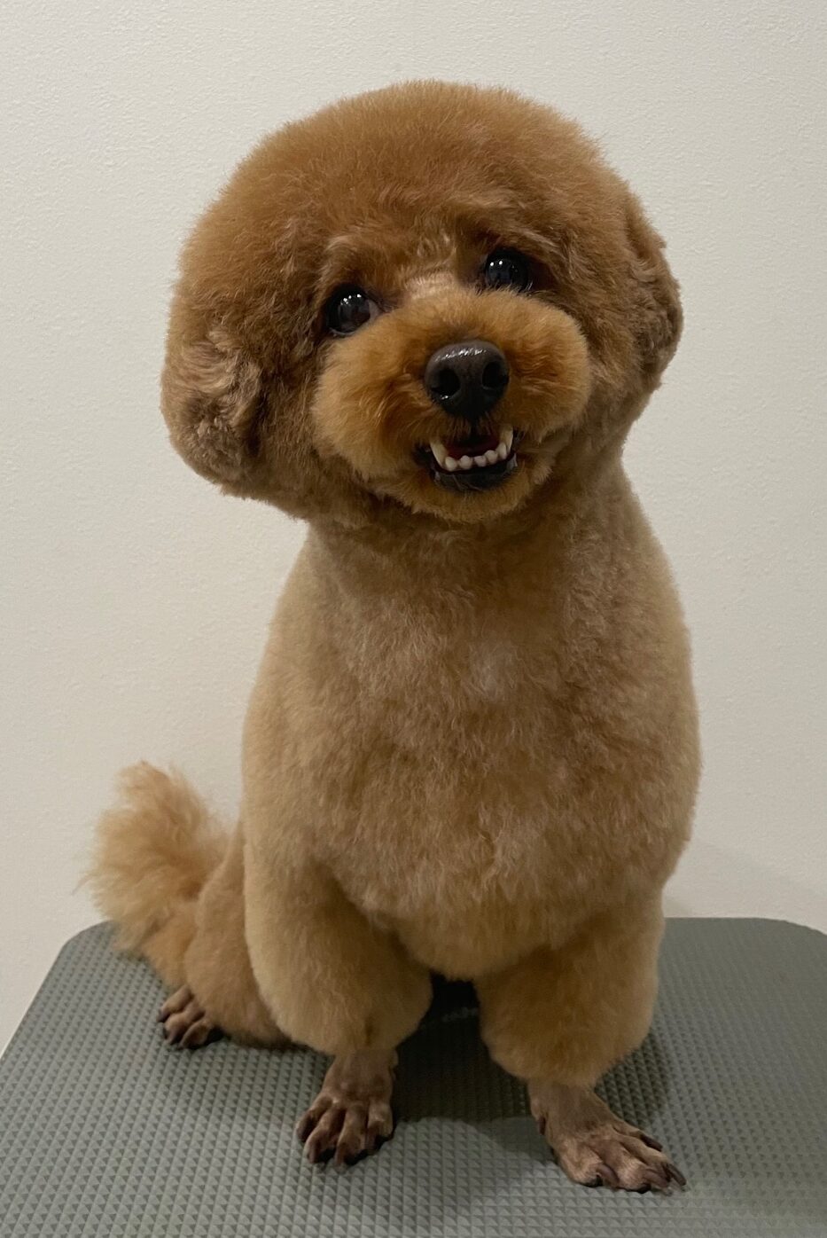 2026-3-22%e5%a4%8f%e8%a6%8b%e3%82%80%e3%81%8e