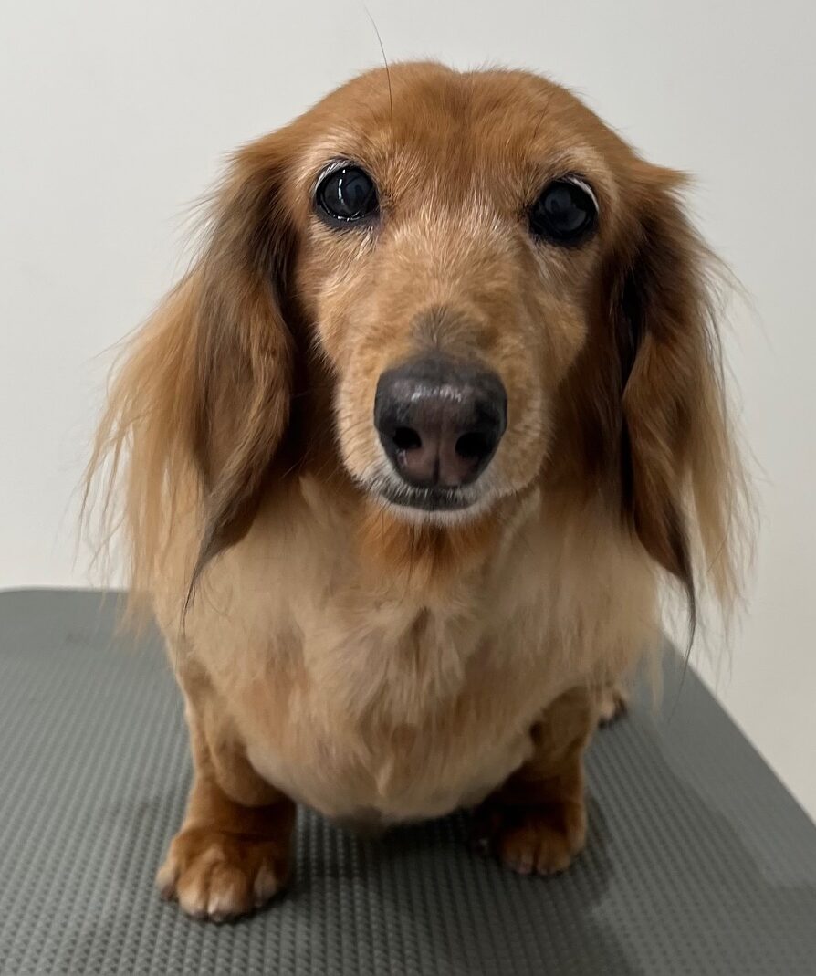 2026-3-22%e5%a4%a7%e5%a0%80%e7%88%bd%e5%ad%90