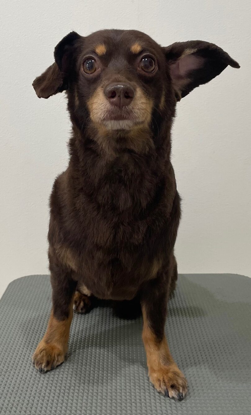 2026-3-22%e5%b0%8f%e6%9d%be%e3%81%9d%e3%82%89