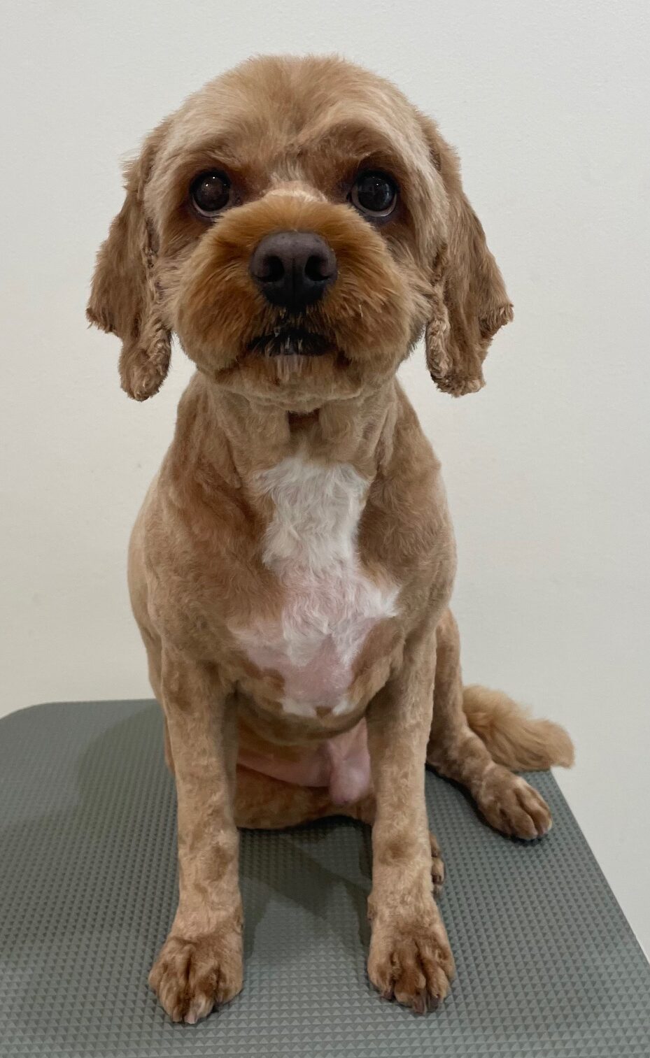 2026-3-22%e9%8d%9c%e6%b2%bb%e3%83%99%e3%83%ab