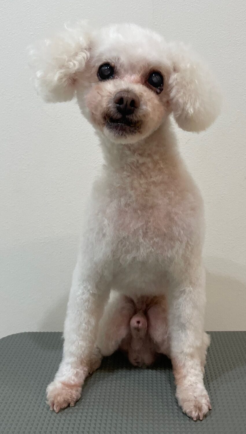 2026-3-23%e5%b7%9d%e5%b3%b6%e3%83%9e%e3%83%ad%e3%83%b3