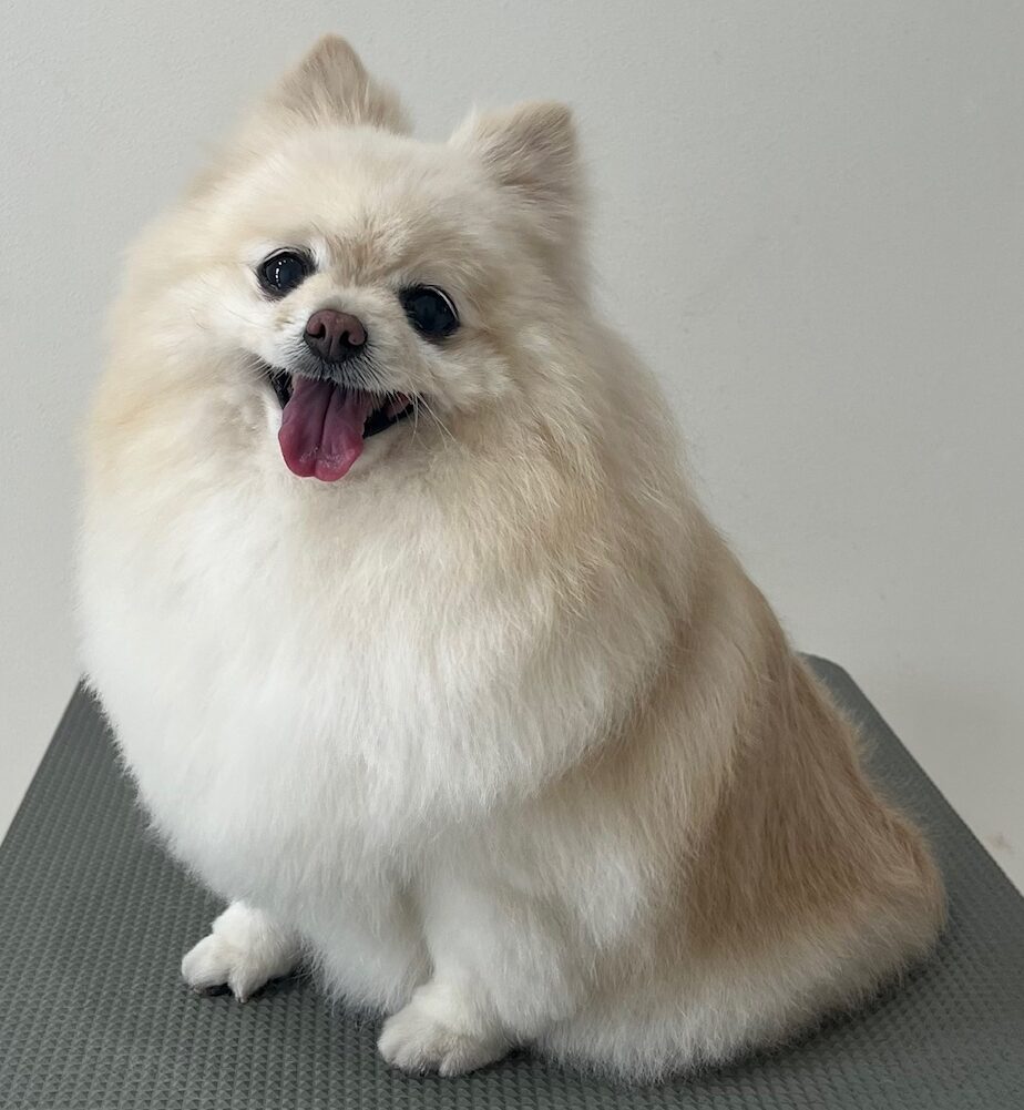 2026-3-23%e6%97%a5%e5%a4%8f%e3%83%8a%e3%83%8a