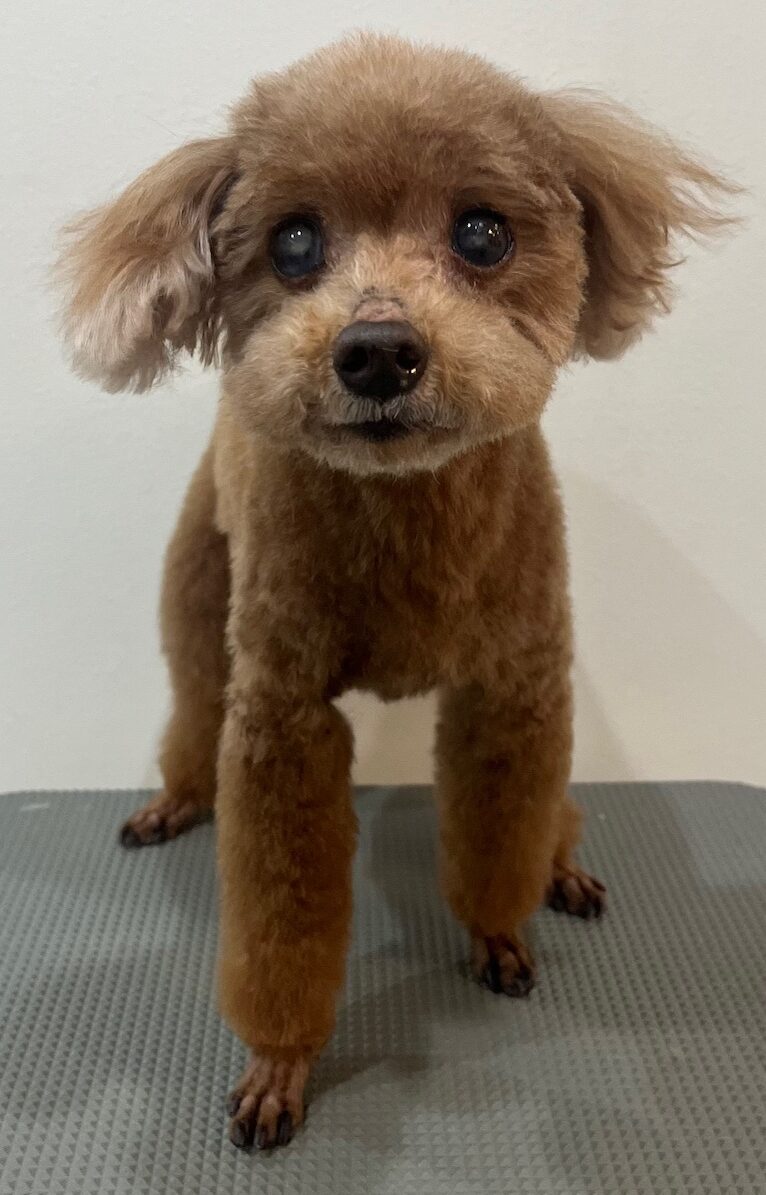 2026-3-23%e6%9c%ac%e5%a4%9a%e9%99%bd%e8%8f%9c