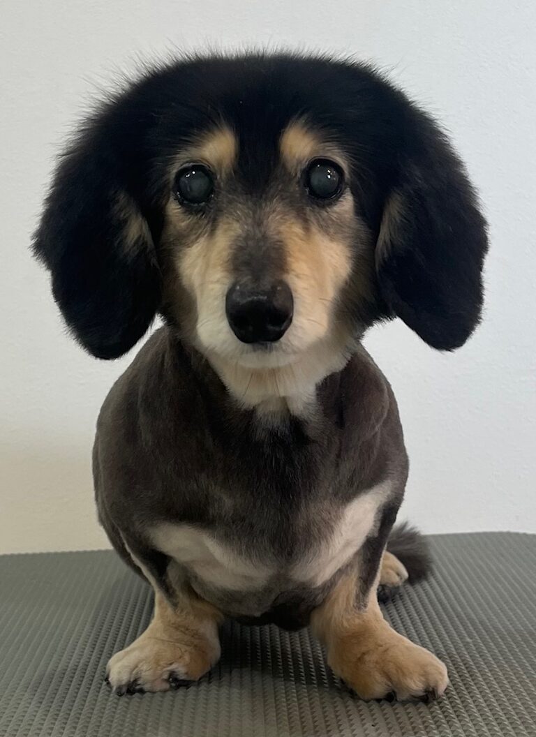 2026-3-23%e6%9f%8f%e6%9c%a8%e3%82%82%e3%82%82