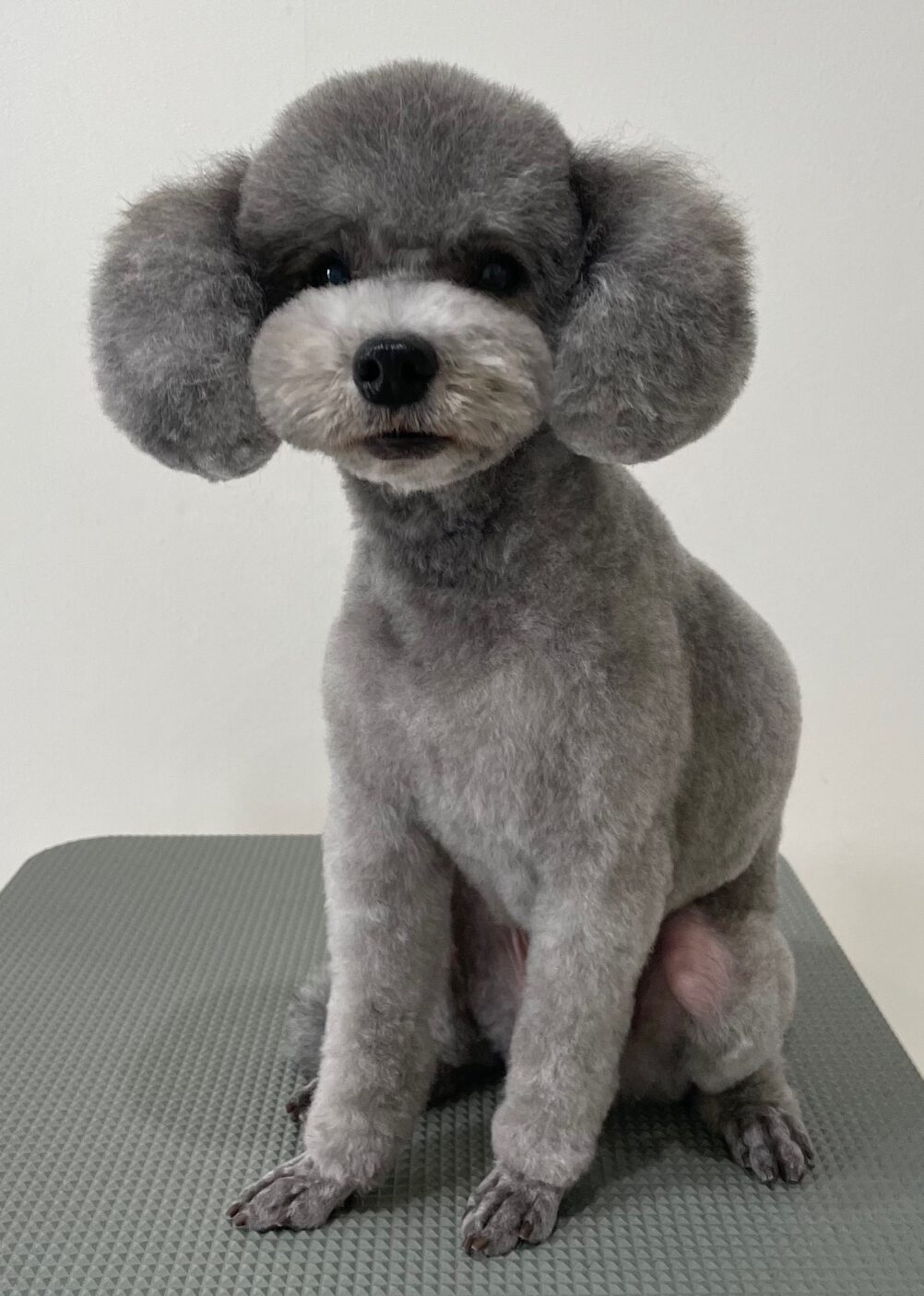 2026-3-23%e6%a9%8b%e6%9c%ac%e3%81%93%e3%81%92%e3%81%9f%e3%82%8d%e3%81%86