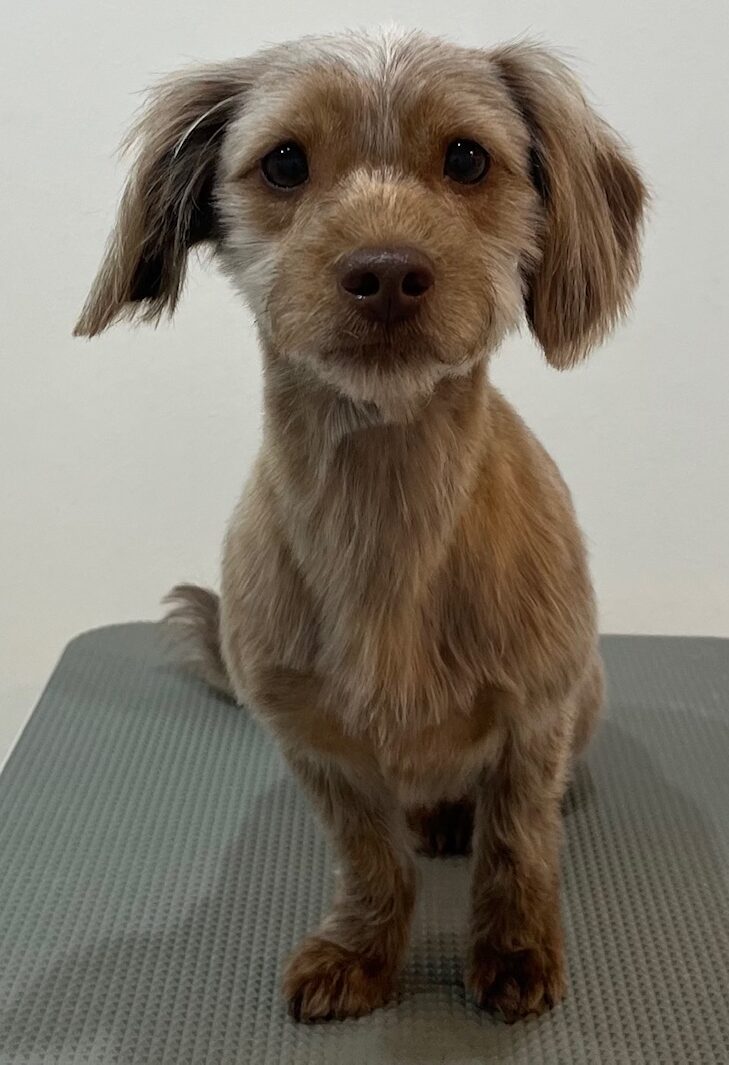 2026-3-24%e4%b8%8b%e7%94%b0%e3%81%a8%e3%82%8f