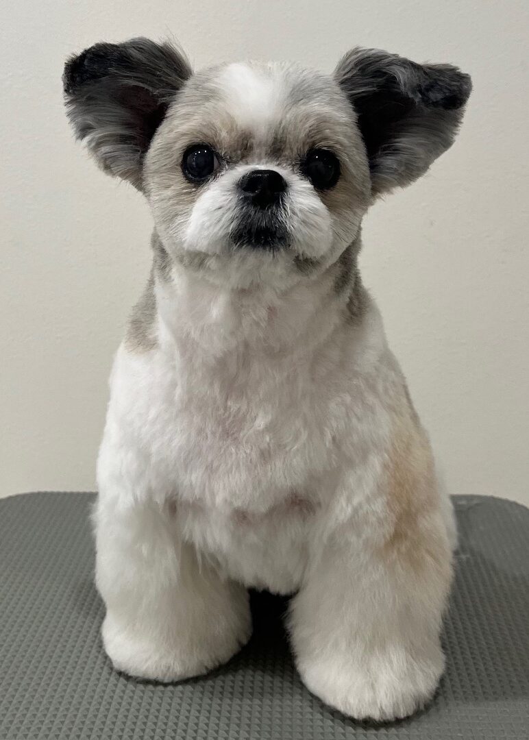 2026-3-24%e5%a4%9a%e5%96%9c%e3%81%8a%e3%81%af%e3%81%8e