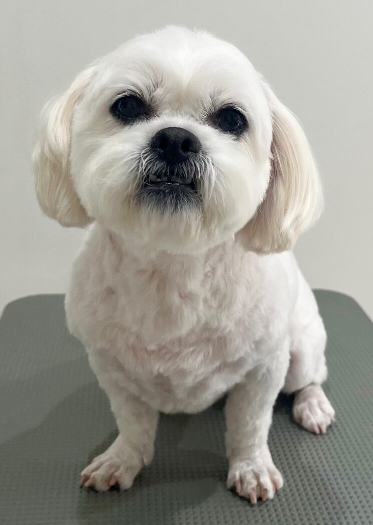 2026-3-24%e5%a4%a7%e5%b7%9ddonna