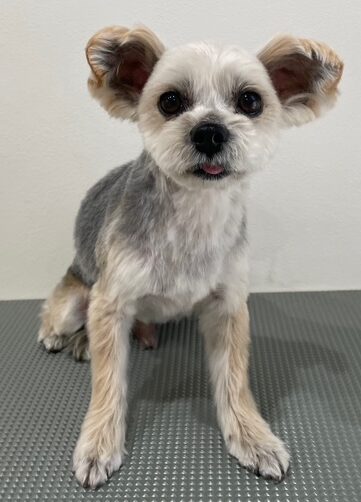 2026-3-24%e5%ba%9c%e5%b7%9d%e3%81%a1%e3%81%8f%e3%82%8f