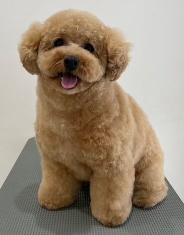 2026-3-24%e6%b0%b8%e7%94%b0%e3%81%86%e3%82%86