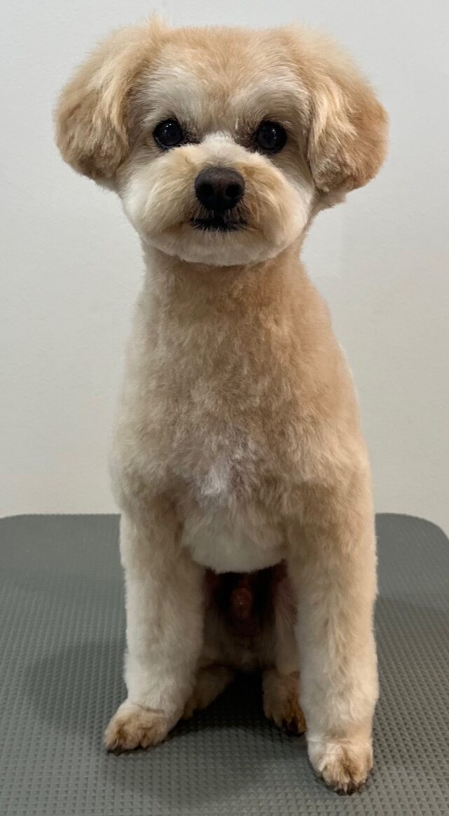 2026-3-24%e7%b1%94%e7%94%b0%e3%81%a1%e3%82%83%e3%81%a1%e3%82%83%e4%b8%b8