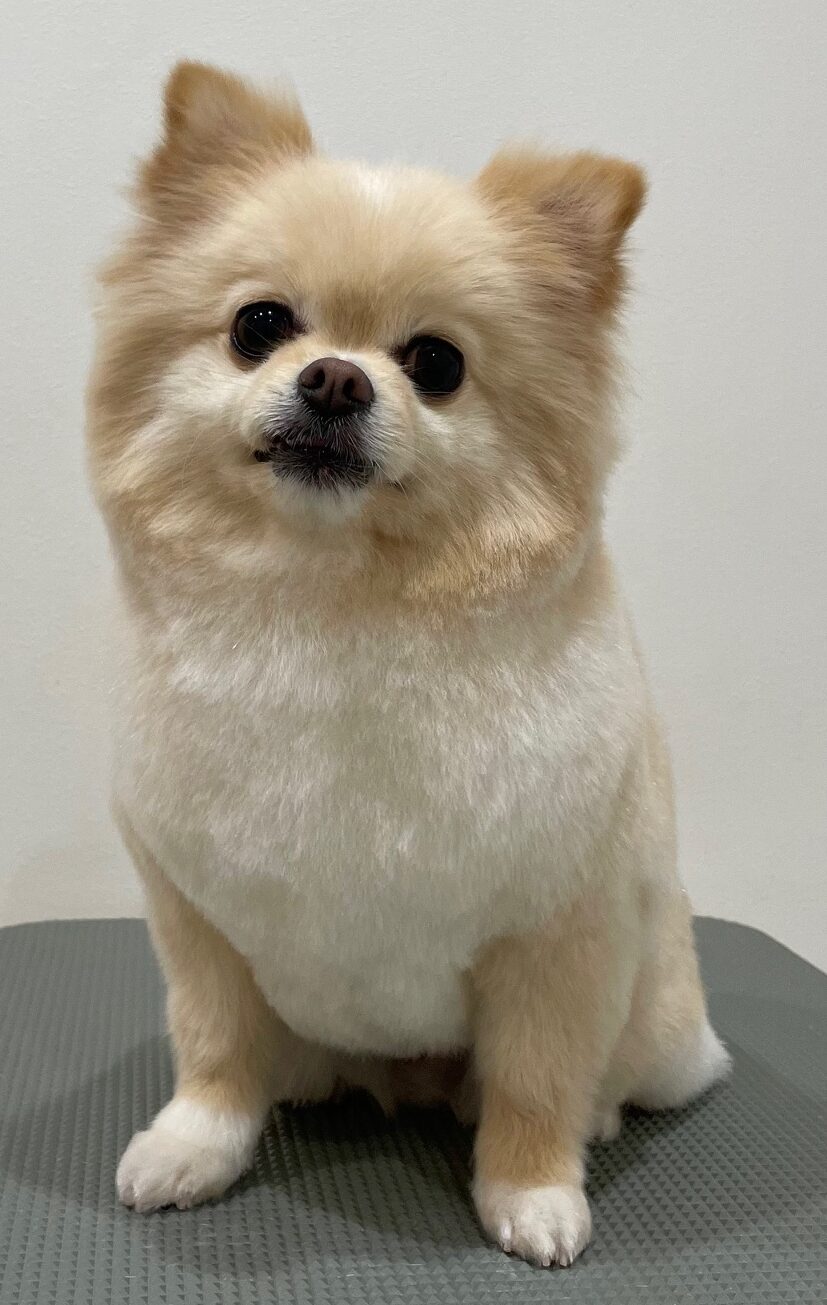 2026-3-25%e9%87%8e%e6%be%a4%e3%81%8f%e3%81%8f