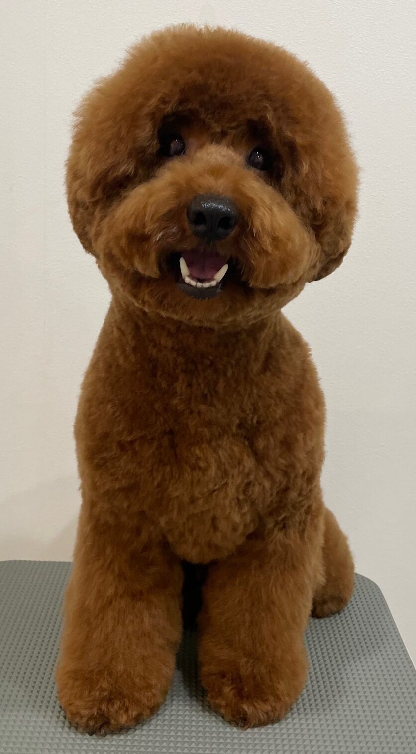 2026-3-25%e9%88%b4%e6%9c%a8%e3%82%80%e3%81%8f